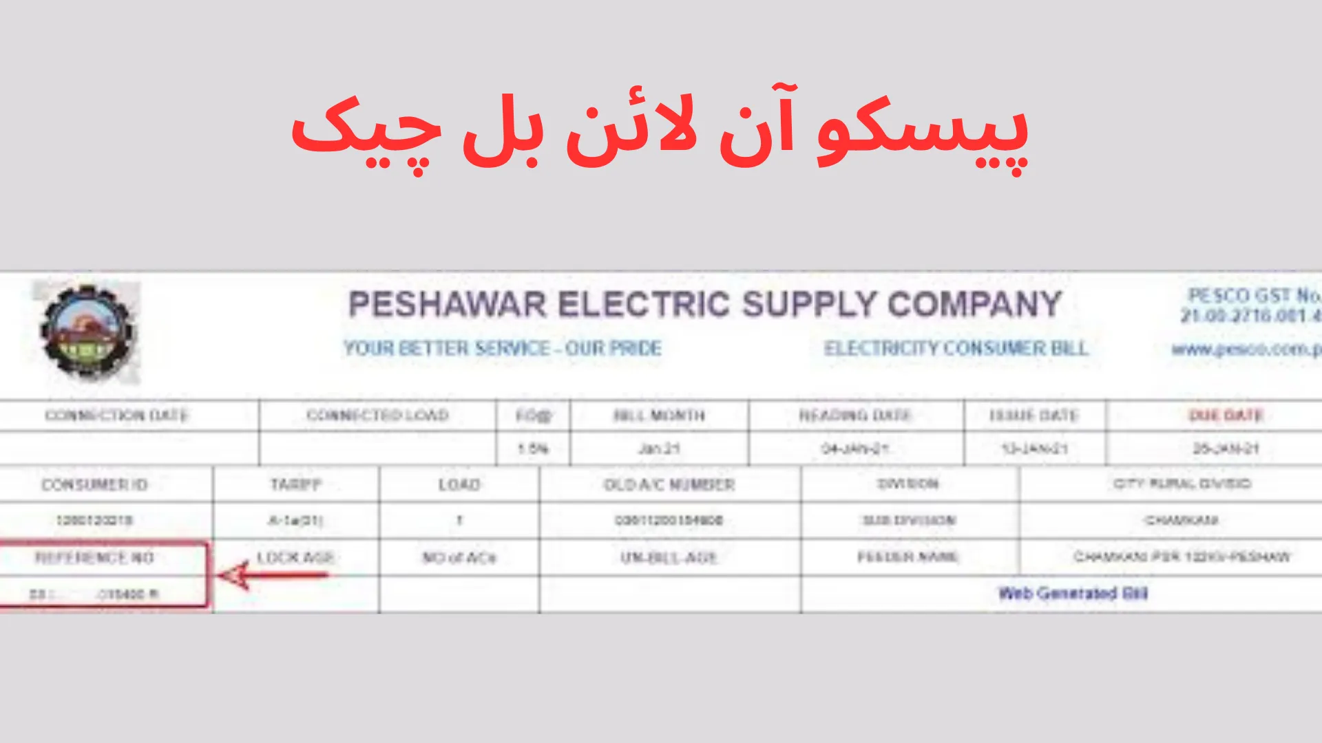 پیسکو آن لائن بل چیک