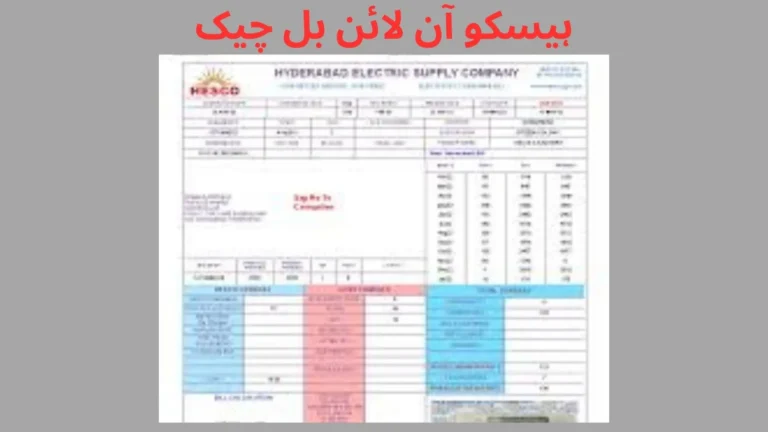 ہیسکو آن لائن بل چیک