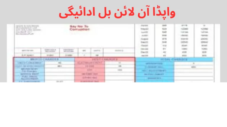 واپڈا آن لائن بل ادائیگی